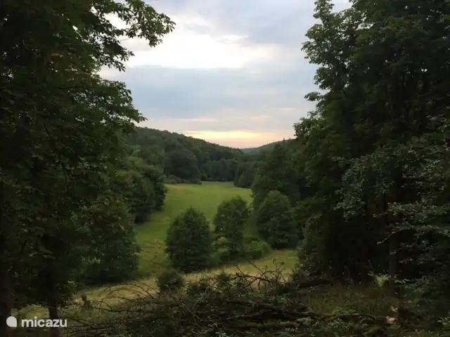 *Bosrijk* Kellerwald Edersee Unesco huren in Duitsland, Sauerland, Frankenau - vakantiehuis Nieuw! Uitzicht wild uitkijkpunt bij schemering (2,5 km)