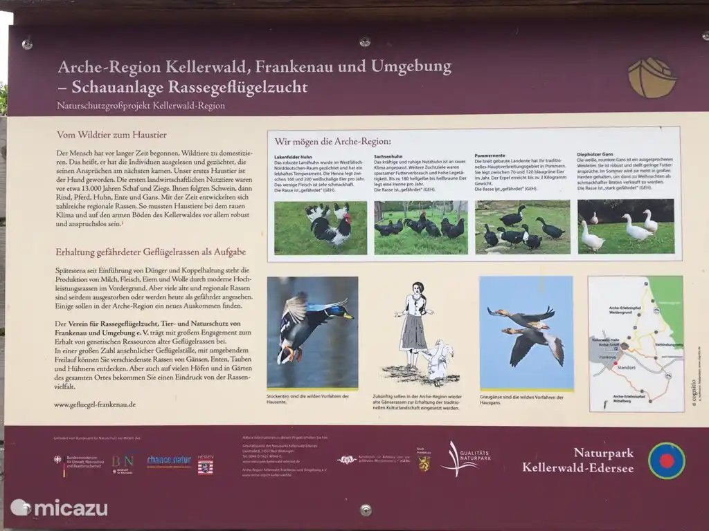 Geflügel Zuchtanlage - hier werden die gefährdeten Hühner und Enten in Frankenau gehalten - Spaß für Kinder!