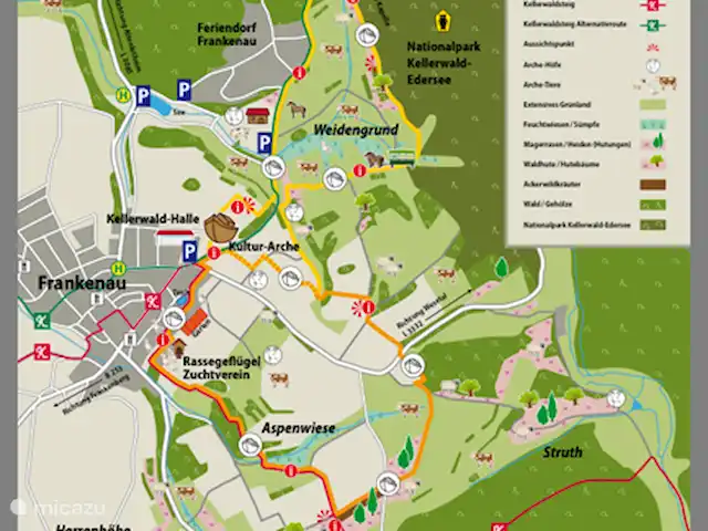 *Bosrijk* Kellerwald Edersee Unesco huren in Duitsland, Sauerland, Frankenau - vakantiehuis FRANKENAU Educatieve wandelroute - Leuk met jonge kinderen! Directe omgeving van het huisje