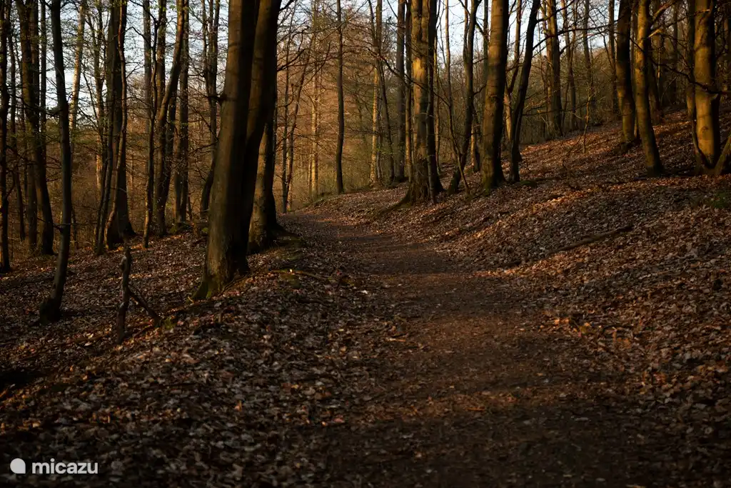 Herbst: die schönsten Farben im Kellerwald mit vielen Wanderwegen (500 Meter)