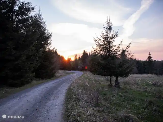 *Bosrijk* Kellerwald Edersee Unesco huren in Duitsland, Sauerland, Frankenau - vakantiehuis Kellerwald
