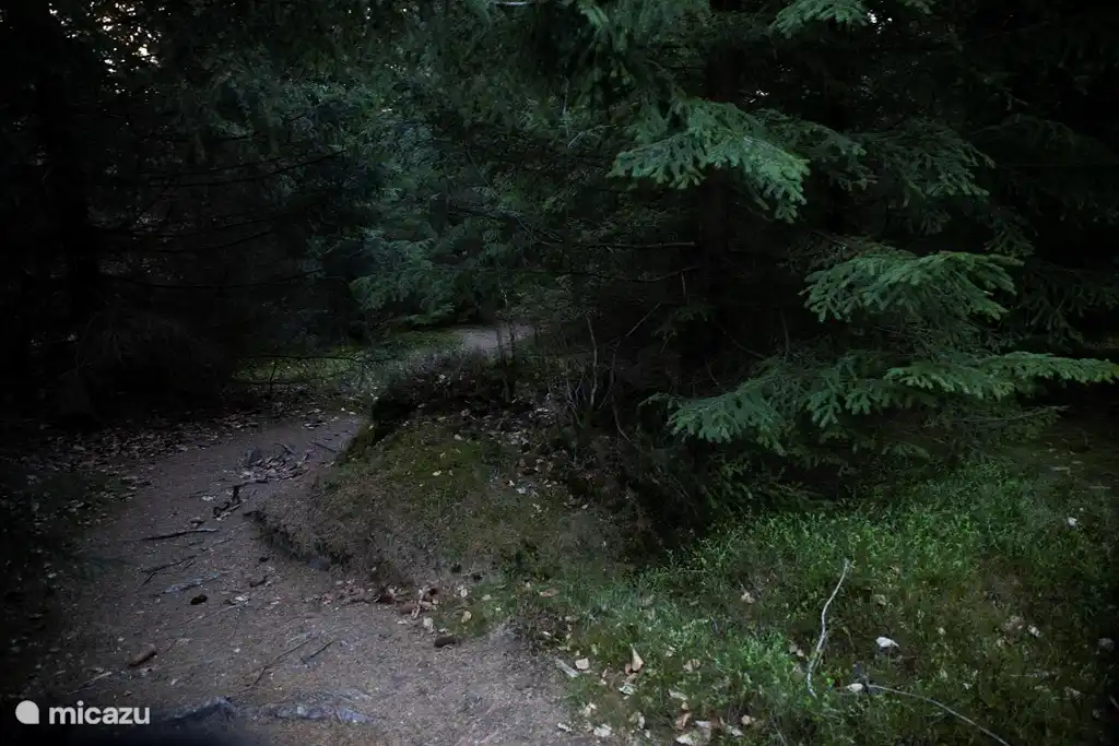 Kellerwald - Quernstpad (500 Meter)