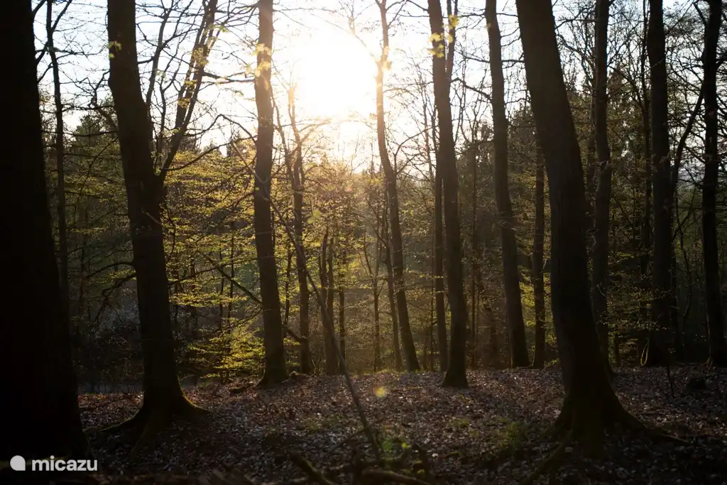 KellerwaldAutumn Kellerwald