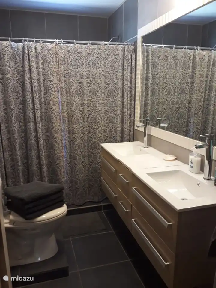 pommeaux de douche doubles avec eau chaude et lavabos pour 2 personnes