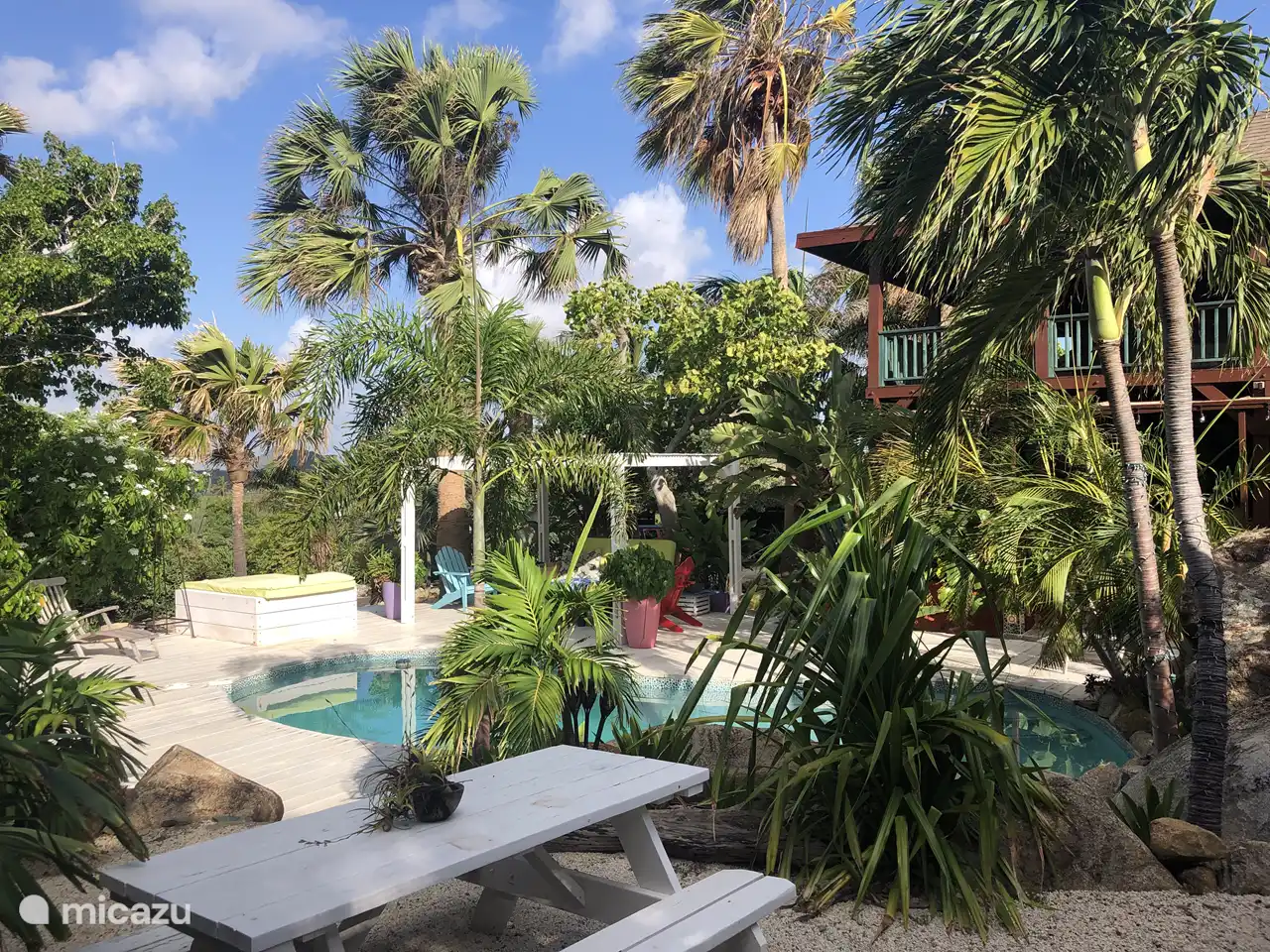 Bassin entre les plantes