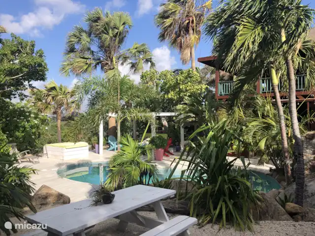 Location de Vacances Aruba, Aruba central, Santa Cruz, villa - Villa Luna Llena Bassin entre les plantes