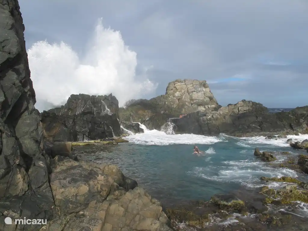 Piscine naturelle à proximité (demandez à l'hôte un itinéraire spécial)
