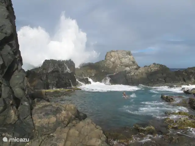 Location de Vacances Aruba, Aruba central, Santa Cruz, villa - Villa Luna Llena Piscine naturelle à proximité (demandez à l'hôte un itinéraire spécial)