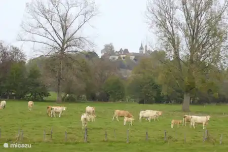 Campagne