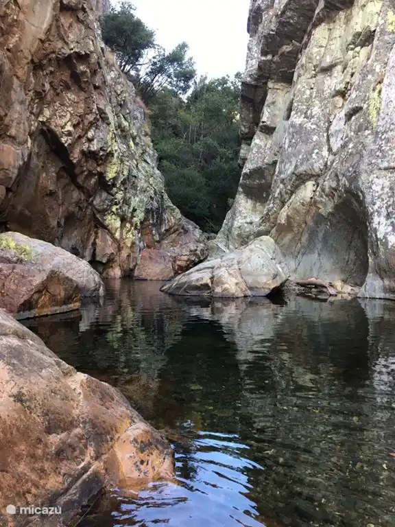 Schwimmen Sie in einem der kristallklaren Flüsse