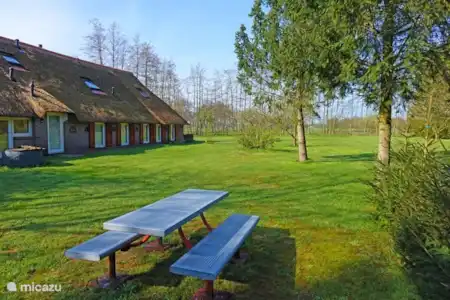 Vacation rental Netherlands, Drenthe, De Wolden farmhouse The Roos family Drenthse spacious garden