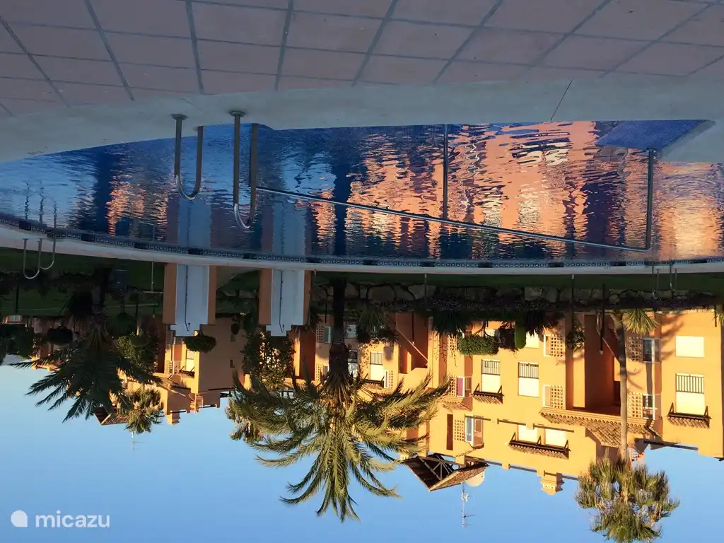 Unser perfekt gepflegtes Schwimmbad auf ca. 60 m.  ( geöffnet von Mai-September )