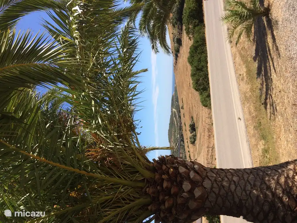 MA8300: Der Weg vom Strand nach Casares