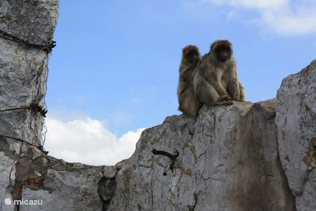 Gibraltar; Nicht nur für Touristen!