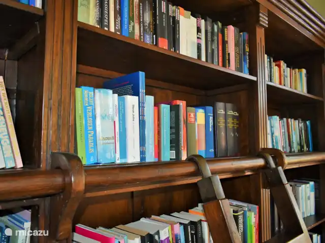 Villa monumentale Seulle Etat | Pays-Bas, Frise, Sint Jacobiparochie - villa Il y en a pour tous les goûts dans la bibliothèque.
