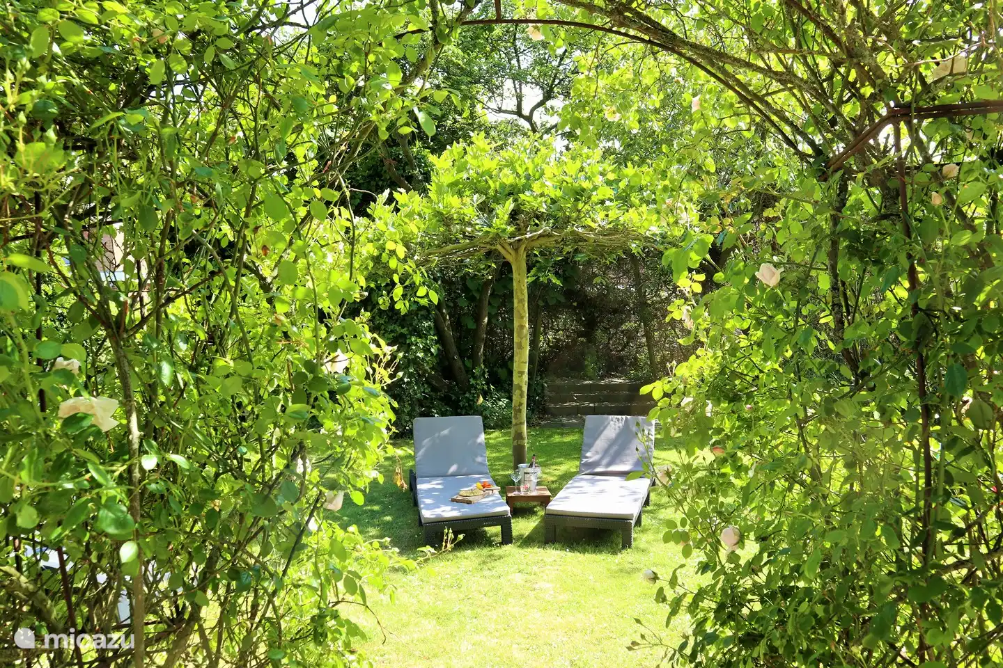 Twee van de drie heerlijke lig fauteuils. Zoek  een plekje in de schaduw of ga heerlijk zonnebaden.