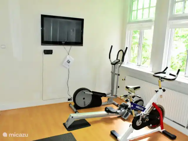 Villa monumentale Seulle Etat | Pays-Bas, Frise, Sint Jacobiparochie - villa Remise en forme complète comprenant un vélo elliptique, un rameur, un vélo spinning, une planche d'équilibre, un cerceau, une corde à sauter, un tapis de yoga et divers poids. Écran plat avec Google chromecast (service de streaming)