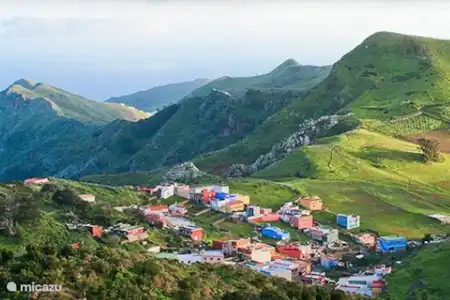 Tenerife een afwisselende natuur