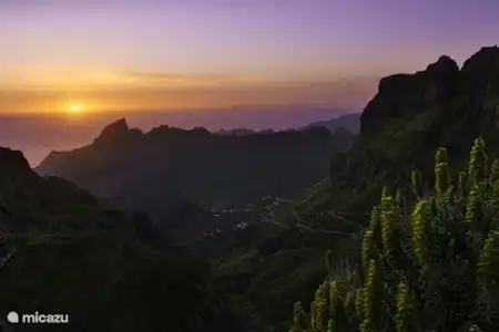 Tenerife een afwisselende natuur