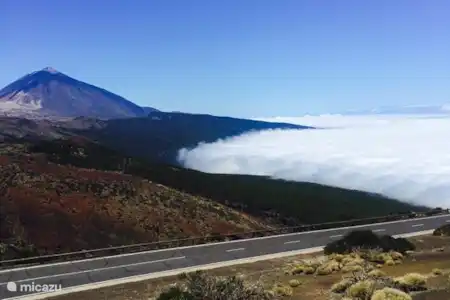 Tenerife een afwisselende natuur