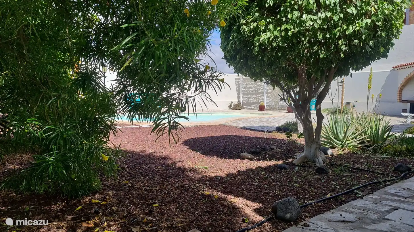 Casa de Cees in Spanien, Teneriffa, El Médano - Villa