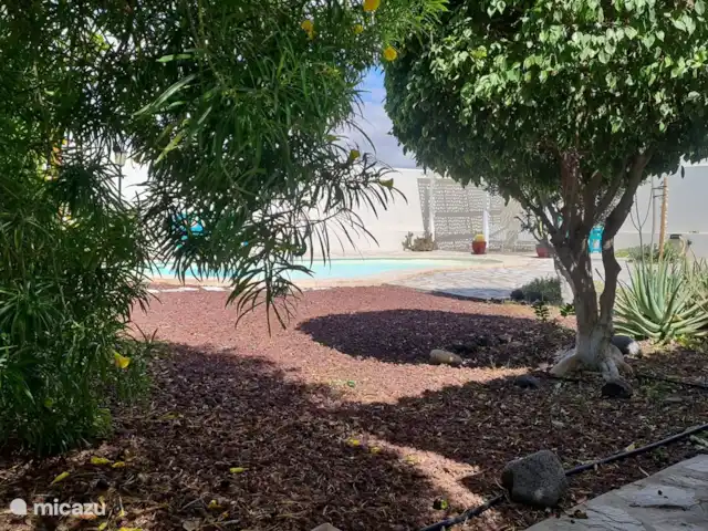 Casa de Cees | Espagne, Tenerife, El Médano - villa jardin