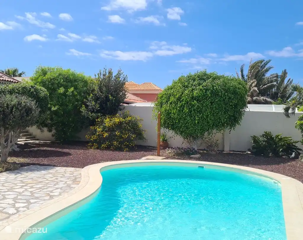 Casa de Cees, foto 4