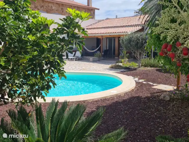 Casa de Cees | Espagne, Tenerife, El Médano - villa Jardin