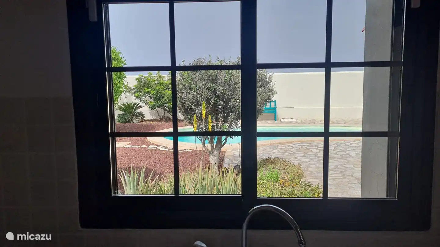 Gartenblick von der Küche