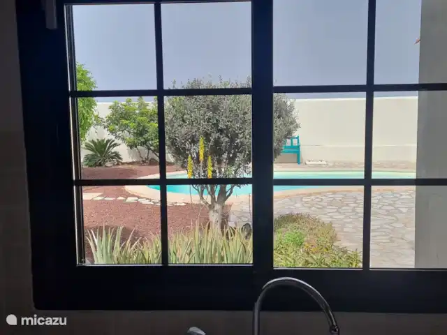 Casa de Cees | Espagne, Tenerife, El Médano - villa Vue sur le jardin depuis la cuisine