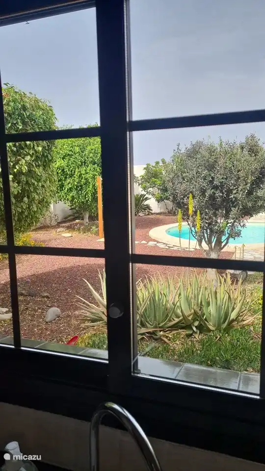 Gartenblick von der Küche