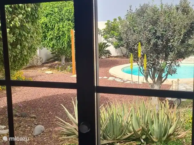 Casa de Cees | Espagne, Tenerife, El Médano - villa Vue sur le jardin depuis la cuisine