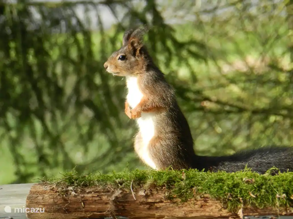 Eine Picknickbank Besucher