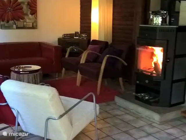 Maison de vacances Am Sternberg 69 | Allemagne, Sauerland, Frankenau - maison de vacances salon avec poêle à bois cosy