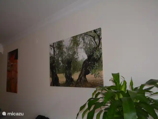Location de Vacances Espagne, Costa del Sol, Benalmádena, appartement - Appartement ensoleillé sur la plage L’Andalousie, ce n’est pas seulement la mer et la plage... Il y a un bel arrière-pays avec de belles gemmes de vert et de bleu... Partez à la découverte !
