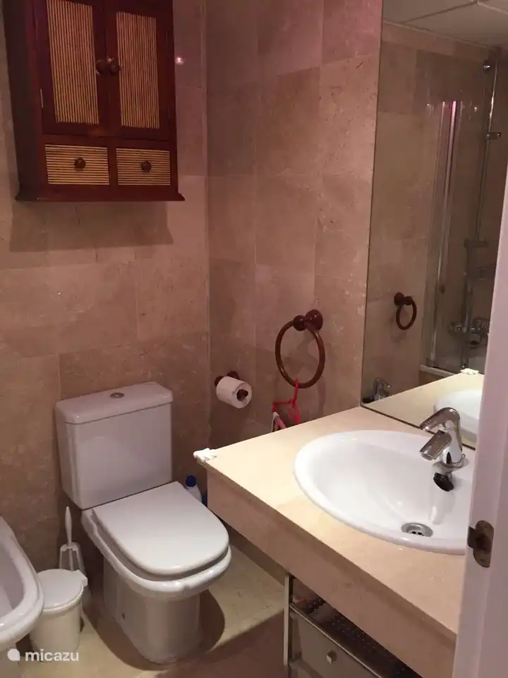 de Wc in de master-badkamer - wordt volledig vernieuwd in maart 2025