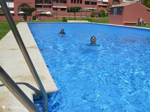 Location de Vacances Espagne, Costa del Sol, Benalmádena, appartement - Appartement ensoleillé sur la plage La grande piscine dans le jardin - heures d’ouverture limitées ; Les enfants doivent être accompagnés d’un adulte