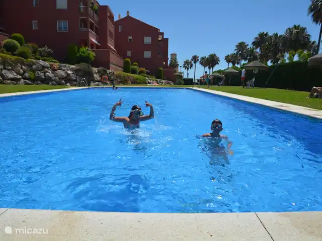 Location de Vacances Espagne, Costa del Sol, Benalmádena, appartement - Appartement ensoleillé sur la plage La grande piscine dans un jardin bien entretenu