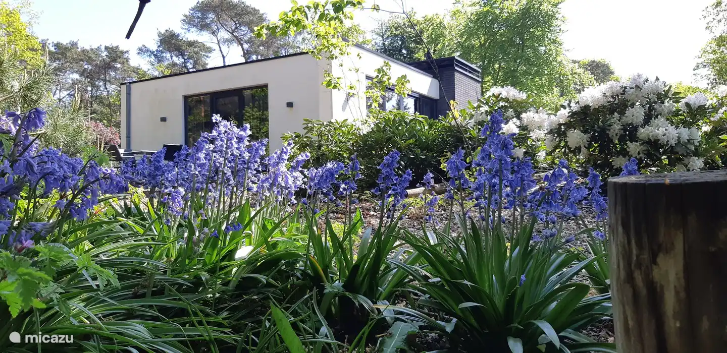 Ferienhaus De Holt Resch Holten in Niederlande, Overijssel, Holten - Villa
