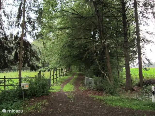 Westmarkhof huren in Duitsland, Nedersaksen, Barssel - boerderij oprit