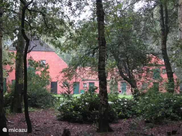 Westmarkhof huren in Duitsland, Nedersaksen, Barssel - boerderij de boerderij