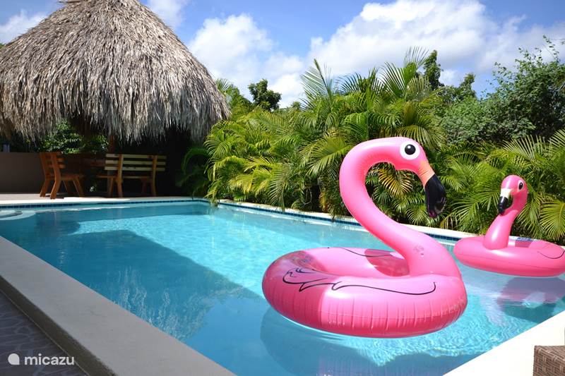 Vacation rental Curaçao, Banda Ariba (East), Cas Grandi Apartment Spacious apartment with pool