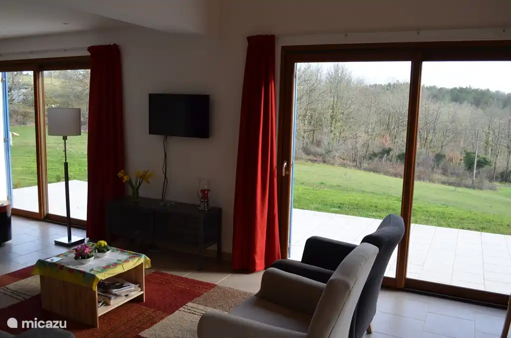 Teil des geräumigen Wohnzimmers.