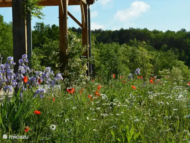 Location de Vacances France, Dordogne, Perigueux, maison de vacances - Maisonlagarde Iris en fleurs