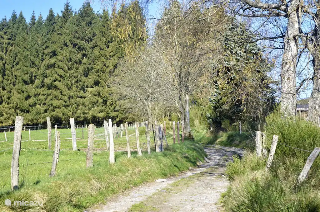 El sendero del bosque al lado de la casa.