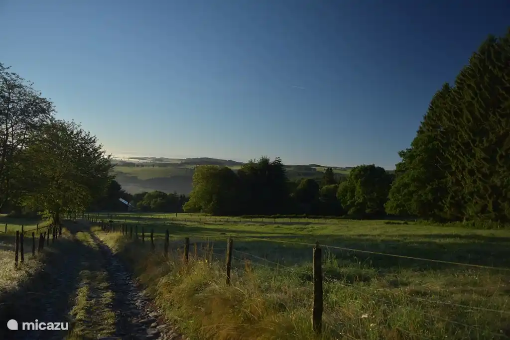 camino del bosque de regreso a la casa