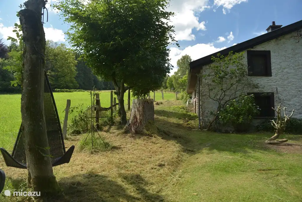 detrás del pasto en la casa
