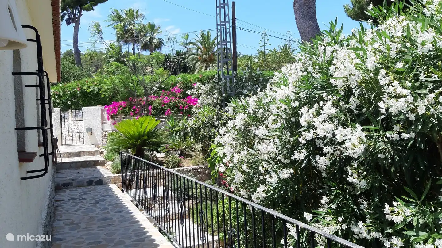 Casa Buena Vista in Spain, Costa Blanca, Benissa - Villa