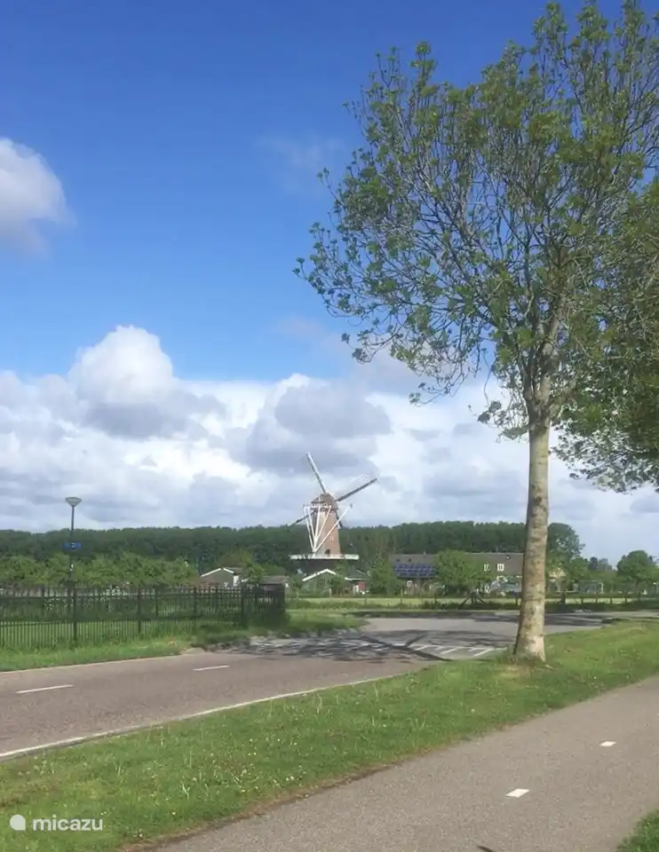 Werkhovense korenmolen