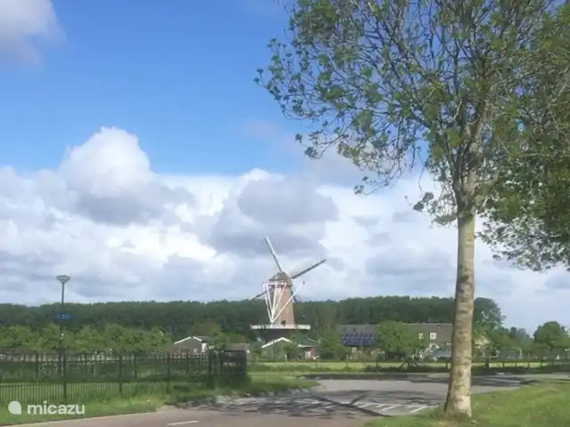 Le Pélican | Pays-Bas, Utrecht, Werkhoven - gîte / cottage Moulin à maïs Werkhoven